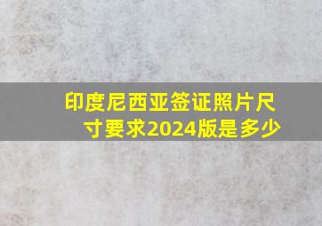 印度尼西亚签证照片尺寸要求2024版是多少