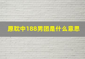 原耽中188男团是什么意思