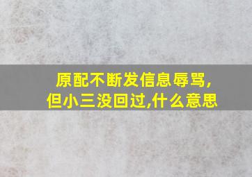 原配不断发信息辱骂,但小三没回过,什么意思