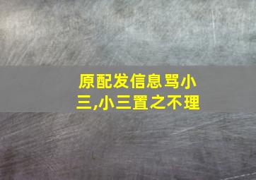 原配发信息骂小三,小三置之不理