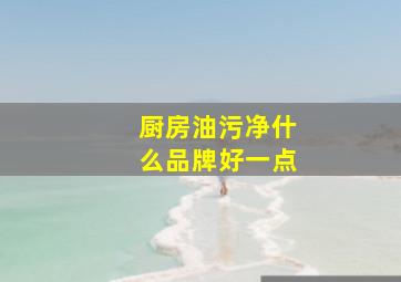 厨房油污净什么品牌好一点