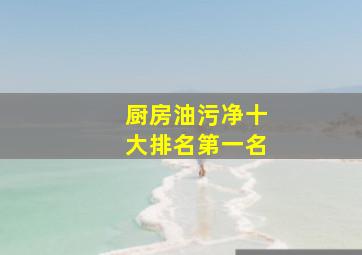 厨房油污净十大排名第一名