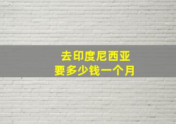 去印度尼西亚要多少钱一个月