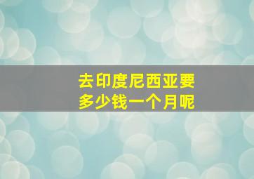 去印度尼西亚要多少钱一个月呢