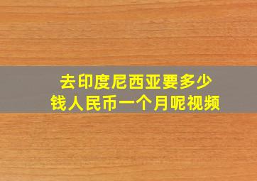 去印度尼西亚要多少钱人民币一个月呢视频