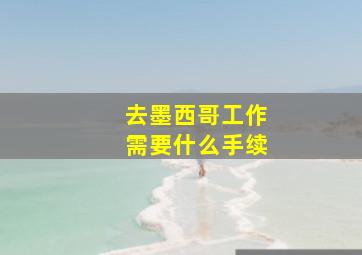 去墨西哥工作需要什么手续