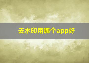 去水印用哪个app好