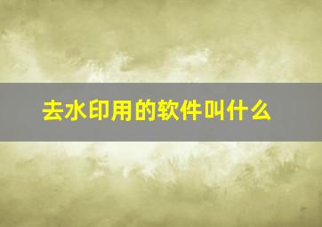 去水印用的软件叫什么