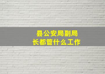 县公安局副局长都管什么工作