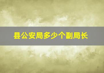 县公安局多少个副局长