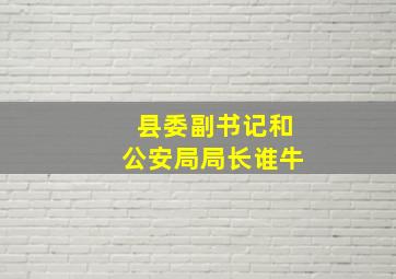 县委副书记和公安局局长谁牛