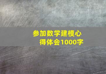 参加数学建模心得体会1000字