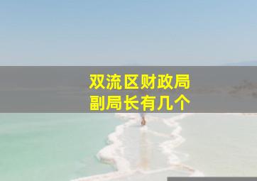 双流区财政局副局长有几个