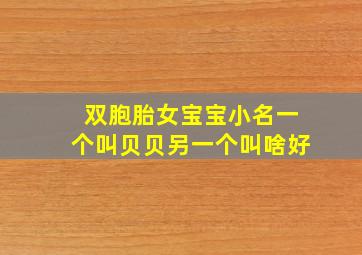 双胞胎女宝宝小名一个叫贝贝另一个叫啥好