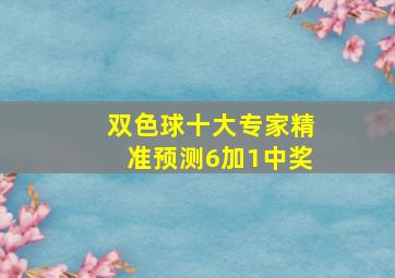 双色球十大专家精准预测6加1中奖