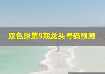 双色球第9期龙头号码预测