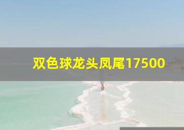 双色球龙头凤尾17500