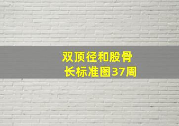 双顶径和股骨长标准图37周