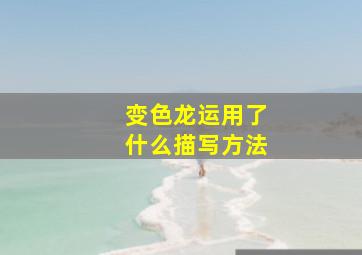 变色龙运用了什么描写方法