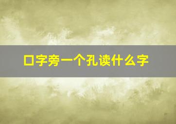 口字旁一个孔读什么字