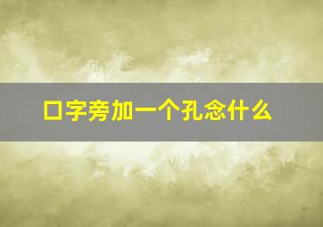 口字旁加一个孔念什么