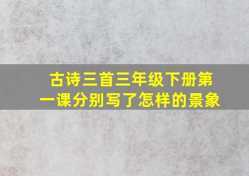 古诗三首三年级下册第一课分别写了怎样的景象