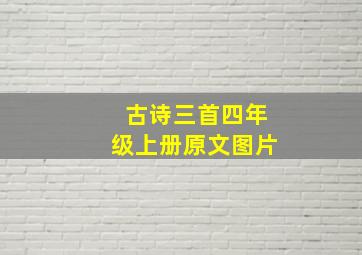 古诗三首四年级上册原文图片