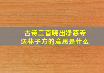 古诗二首晓出净慈寺送林子方的意思是什么