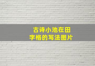 古诗小池在田字格的写法图片