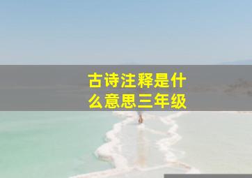 古诗注释是什么意思三年级