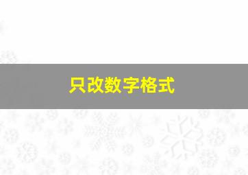 只改数字格式