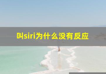 叫siri为什么没有反应