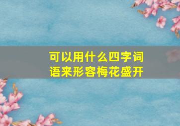 可以用什么四字词语来形容梅花盛开