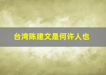 台湾陈建文是何许人也