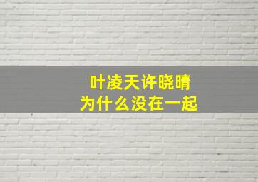 叶凌天许晓晴为什么没在一起