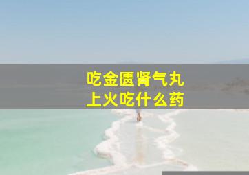 吃金匮肾气丸上火吃什么药