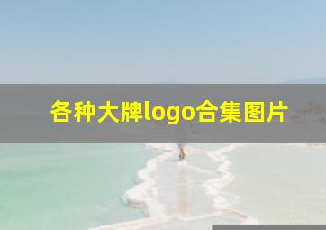 各种大牌logo合集图片