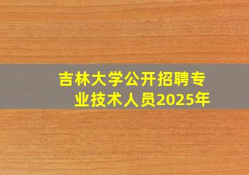 吉林大学公开招聘专业技术人员2025年