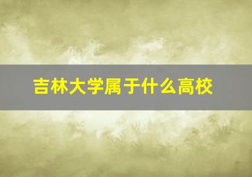 吉林大学属于什么高校