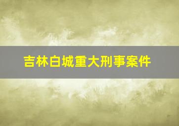 吉林白城重大刑事案件