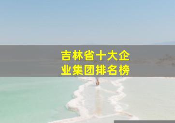 吉林省十大企业集团排名榜