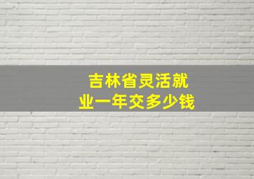 吉林省灵活就业一年交多少钱