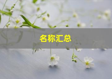 名称汇总