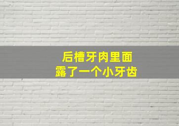 后槽牙肉里面露了一个小牙齿