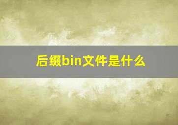 后缀bin文件是什么