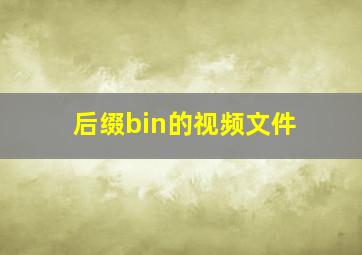 后缀bin的视频文件