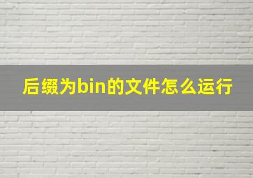 后缀为bin的文件怎么运行