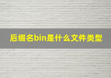 后缀名bin是什么文件类型