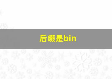 后缀是bin