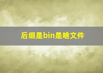 后缀是bin是啥文件